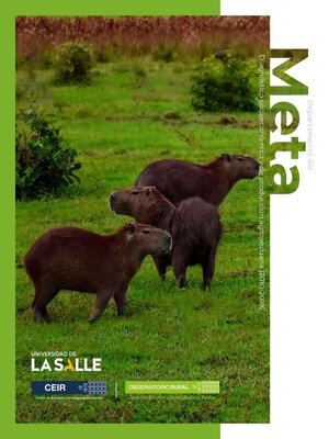 cover image of Departamento del Meta